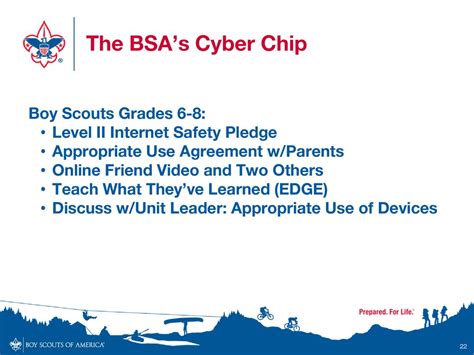 bsa cyber chip grade 6 8.